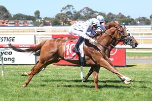 AUSTRALIA DAY OMEN WINNER